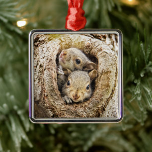 Ornamento De Metal Bebês Mais Pobres Esquilos-bebê curiosos