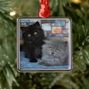 Ornamento De Metal Bebês Mais Pobres   Gatinhos Persa em Aberto