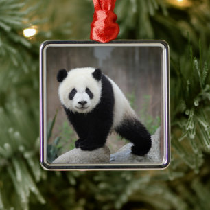 Ornamento De Metal Bebês Mais Pobres Giant Panda Baby