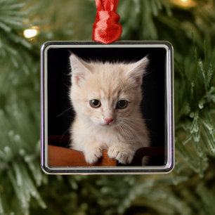 Ornamento De Metal Bebês Mais Pobres Ginger Kitten