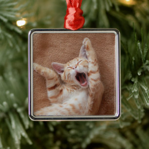 Ornamento De Metal Bebês Mais Pobres Ginger Kitten Yawning