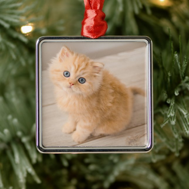 Ornamento De Metal Bebês Mais Pobres | Gruta de Penteados britânicos (Árvore)