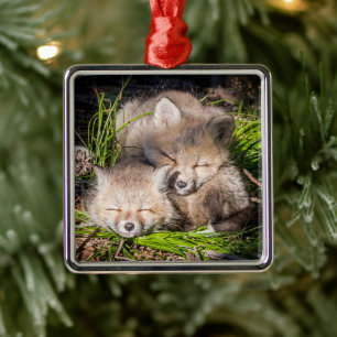 Ornamento De Metal Bebês Mais Pobres Kits De Raposa Vermelha Para B