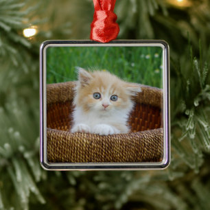 Ornamento De Metal Bebês Mais Pobres   Kitten Azul