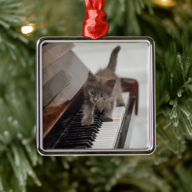Ornamento De Metal Bebês Mais Pobres | Kitten on Piano (Árvore)