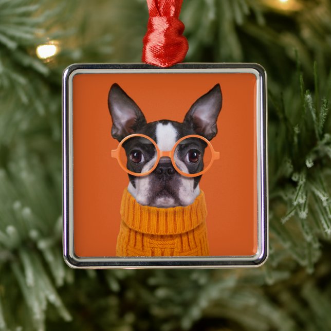 Ornamento De Metal Bebês Mais Pobres | Orange Boston Terrier (Árvore)
