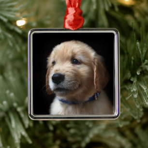Ornamento De Metal Bebês Mais Pobres Ouro Retriever Puppy