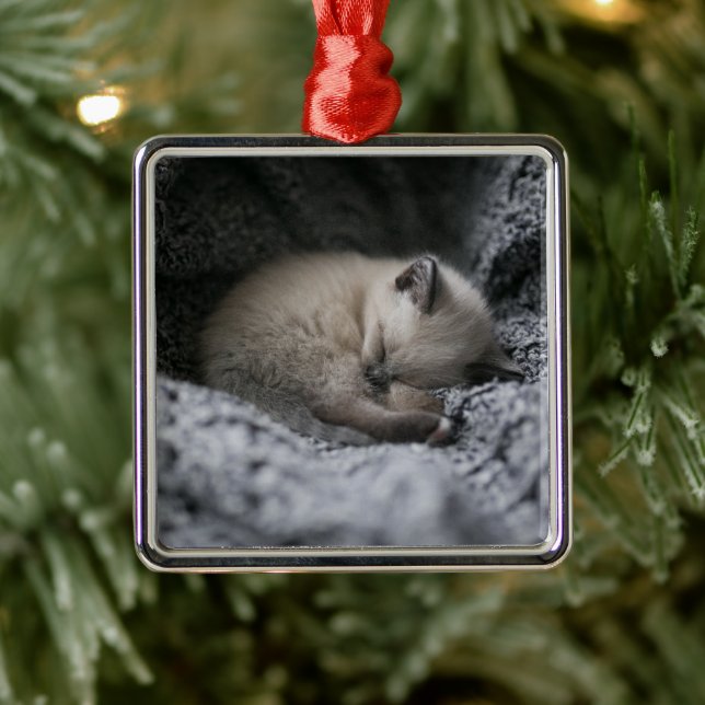 Ornamento De Metal Bebês Mais Pobres | Pequeno Gato Dormindo (Árvore)