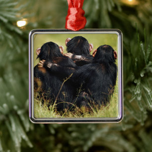 Ornamento De Metal Bebês Mais Pobres   Três Chimpanzés