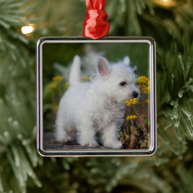 Ornamento De Metal Bebês Mais Pobres | West Highland White Terrier (Árvore)