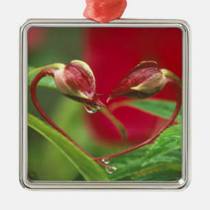 Ornamento De Metal Begonia Buds em forma de coração com gotas. Cré