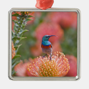 Ornamento De Metal Beija-flor-de-colar-duplo