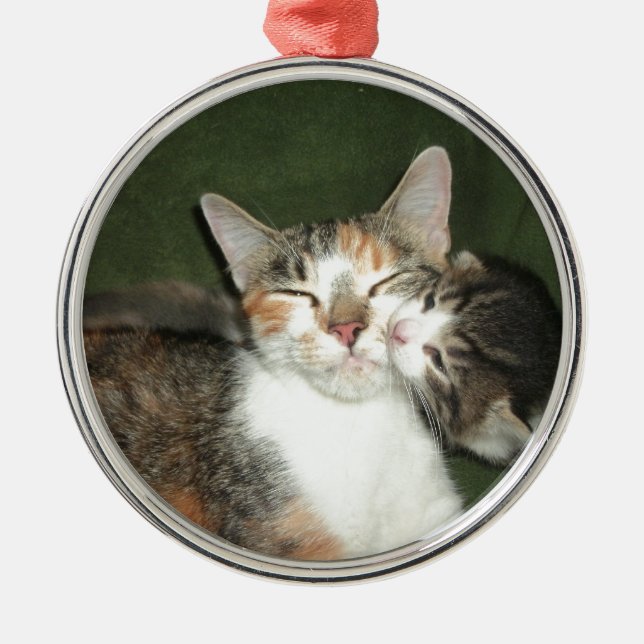 Ornamento De Metal Beijo do gatinho (Frente)