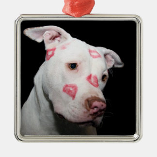Ornamento De Metal Beijos do batom do amor para o cão de Pitbull