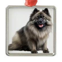 BELÍSSIMO CACHORRINHO KEESHOND FOFO E LANUDO