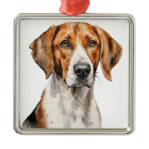 BELÍSSIMO CÃO FOXHOUND TRI COLOR Aquarela