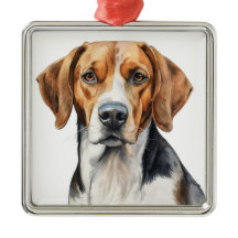 BELÍSSIMO CÃO FOXHOUND TRI COLOR Aquarela