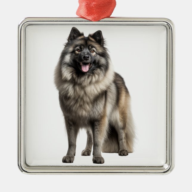 ORNAMENTO DE METAL BELO CACHORRO DE KEESHOND FLUFFY (Frente)