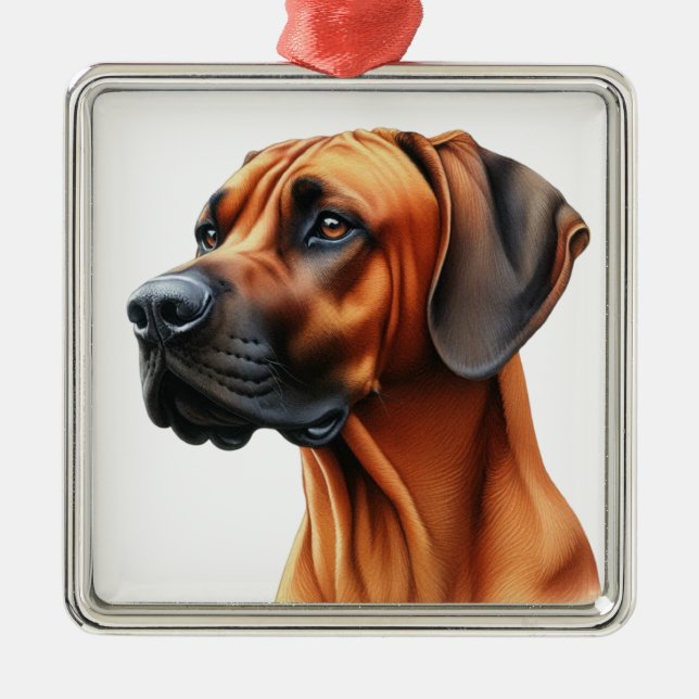 ORNAMENTO DE METAL BELO CÃO RIDGEBACK RHODESIANO (Frente)