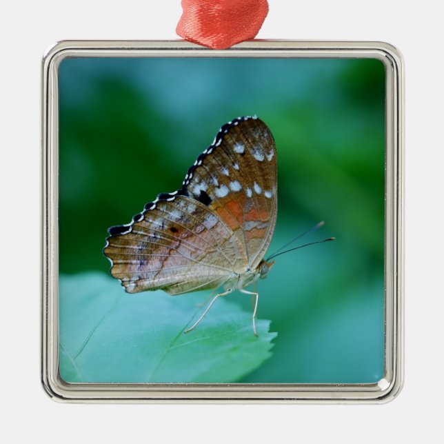 Ornamento De Metal Belo Danaus Plexippus Butterfly em Folha. (Frente)