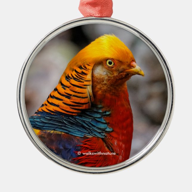 Ornamento De Metal Belo Ouro Vermelho Pheasant Gamebird (Frente)