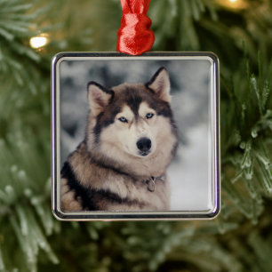 Ornamento De Metal Belo Rouco no Exterior