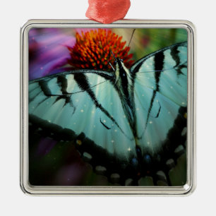 Ornamento De Metal Belo Turquesa Borboleta
