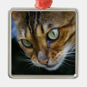 Ornamento De Metal Bengala Cat