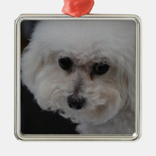 Ornamento De Metal Bichon doce Frise