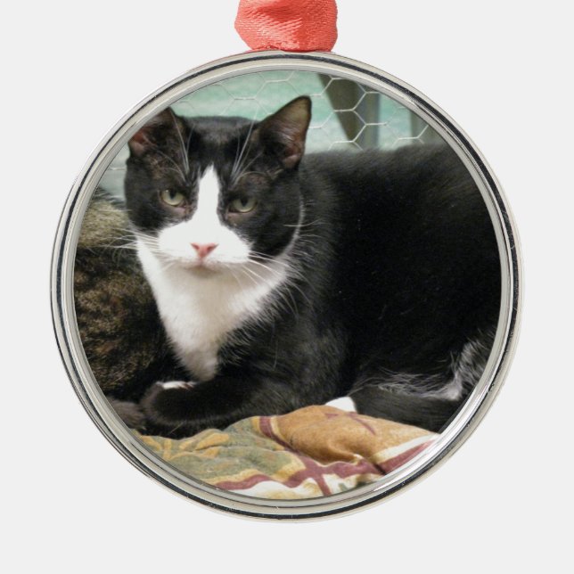 Ornamento De Metal Biscoito (Frente)