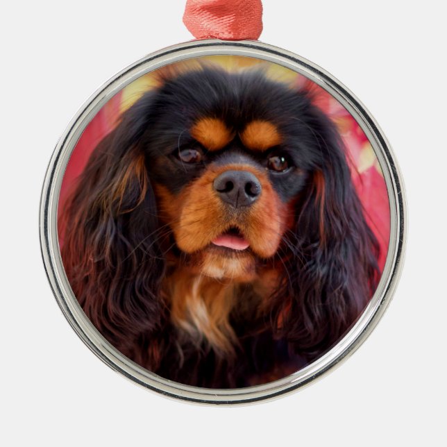 Ornamento De Metal Black and Tan Cavalier King Charles Spaniel Dog (Frente)