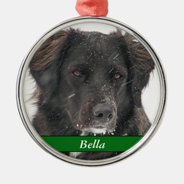 Ornamento De Metal Black Labrador Dog Pet Photo Name (Frente)