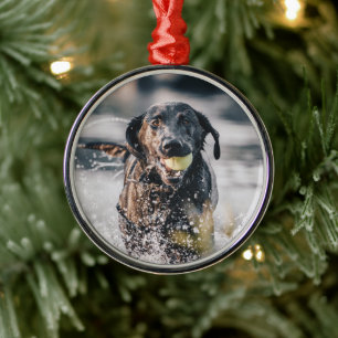 Ornamento De Metal Black Labrador Joga Busca Na Água