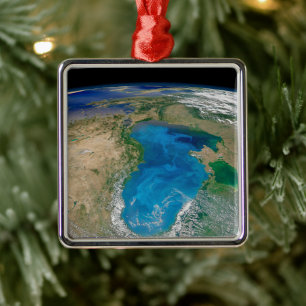 Ornamento De Metal Bloom De Fitoplâncton Azul No Mar Negro