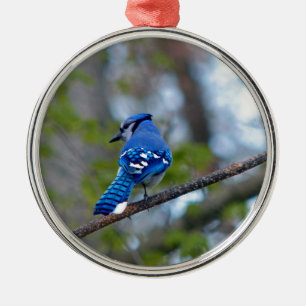 Ornamento De Metal Blue Jay