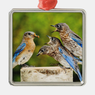 Ornamento De Metal Bluebird oriental