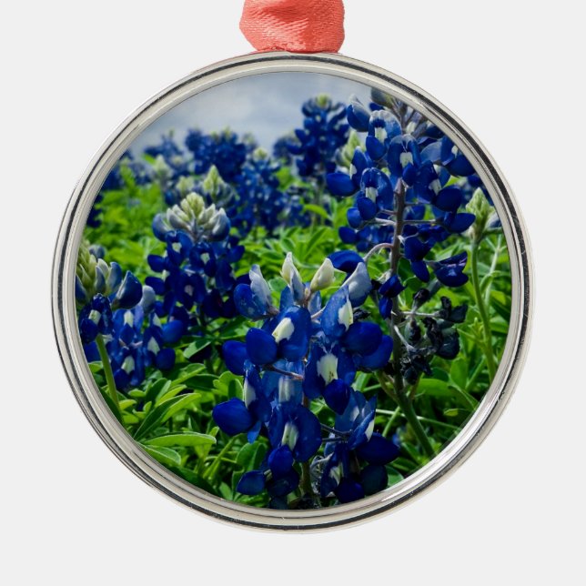 Ornamento De Metal Bluebonnets Blue Floral Texas Texan Elegante (Frente)