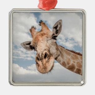 Ornamento De Metal Bobo Girafa