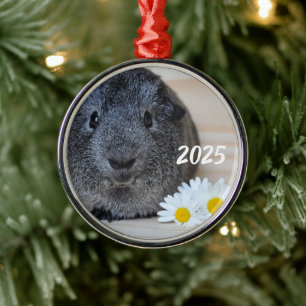 Ornamento De Metal Bonita, Prateada Agouti Guiné Porco e Visitas