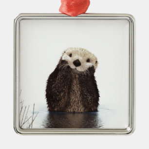 Ornamento De Metal Bonito e adorável animal fofo