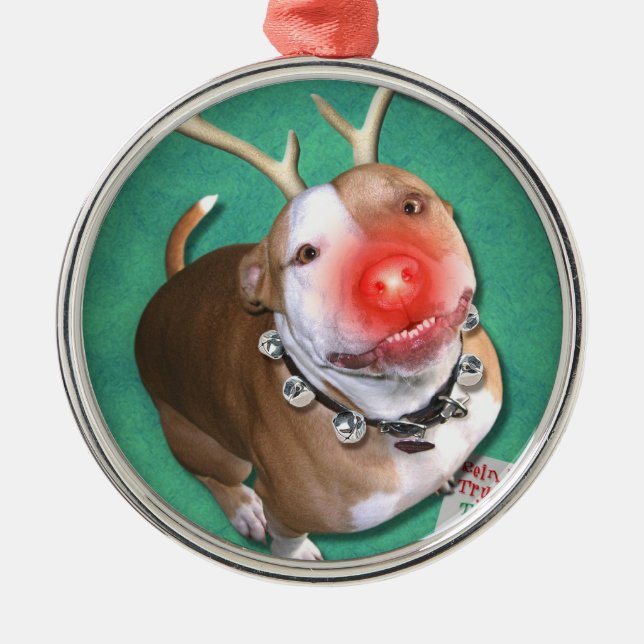 Ornamento De Metal Boodolph (Frente)