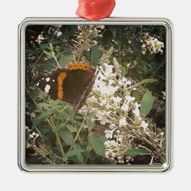Ornamento De Metal Borboleta (Frente)