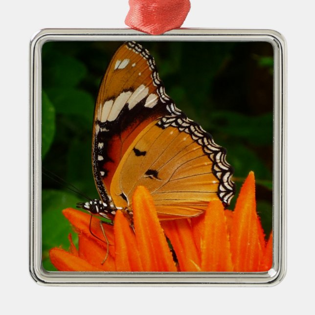 Ornamento De Metal Borboleta (Frente)