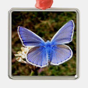 Ornamento De Metal Borboleta Azul