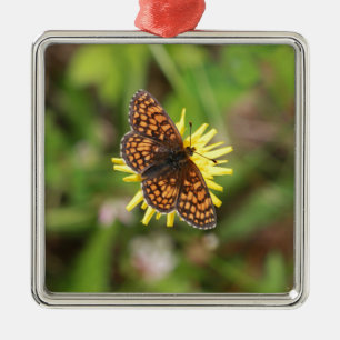 Ornamento De Metal Borboleta - Bonita!