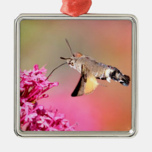 Ornamento De Metal Borboleta Hawk-moth Hummingbird em voo