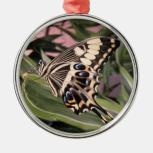 Ornamento De Metal Borboleta Rabo de Andorinha