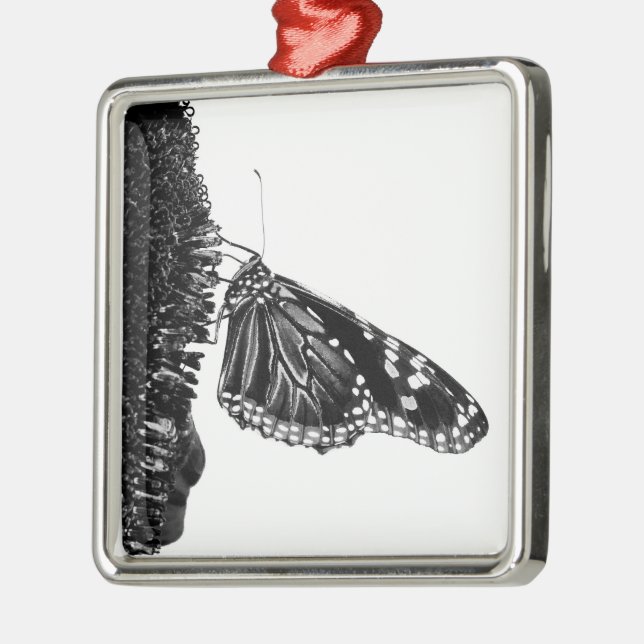 Ornamento De Metal borboleta tímida preta (Esquerda)