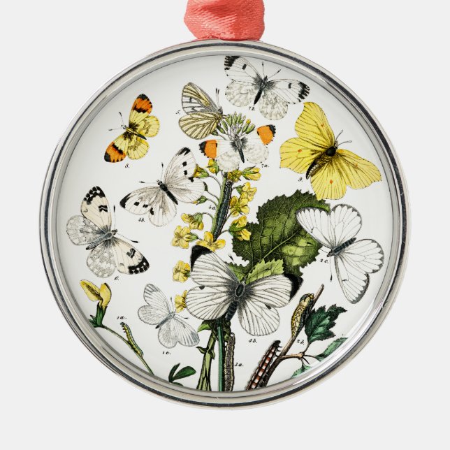 Ornamento De Metal Borboletas Europeias Vintage (Frente)