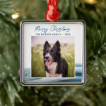 Ornamento De Metal Border Collie Photo Winter Snow Felry Christmas<br><div class="desc">Borda Foto Collie Winter Snow Feliz Ornament De Metal De Natal. Neve de inverno mais calma. Feliz Natal em um roteiro de tendências. Adicione sua foto de cachorro. Você pode alterar o texto ou apagá-lo.</div>